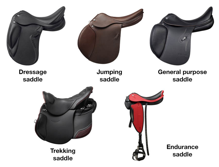 Types & shapes of horse riding saddles